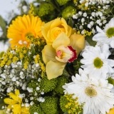 Yellow Flower Crown (2)