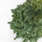 Pine Medium Christmas (2)