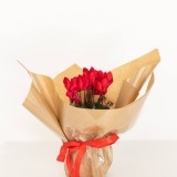 Red Cyclamen (1)