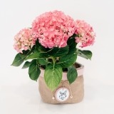 Pink Hydrangea with Decorative Basket (1)