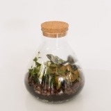 Terracotta with Red Plant (1)