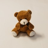 Ursinho de Peluche (1)