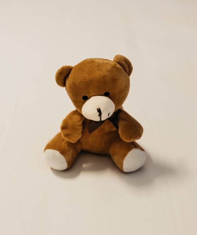Fleurs à Lisbonne - Ursinho de Peluche (1)