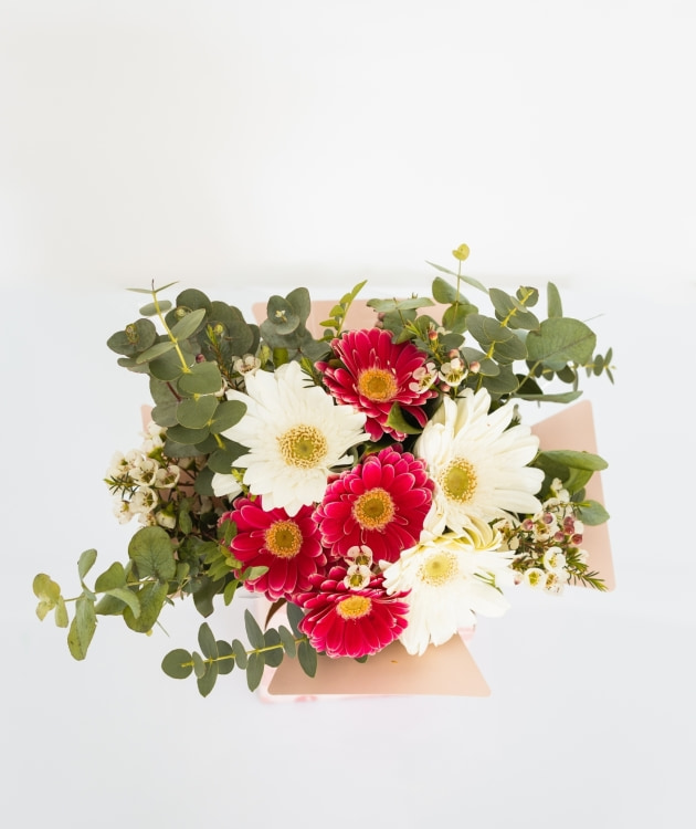 Fleurs à Lisbonne - Caixa de Gerberas Campestre (3)