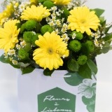 Bouquet of Yellow Gerberas (6)