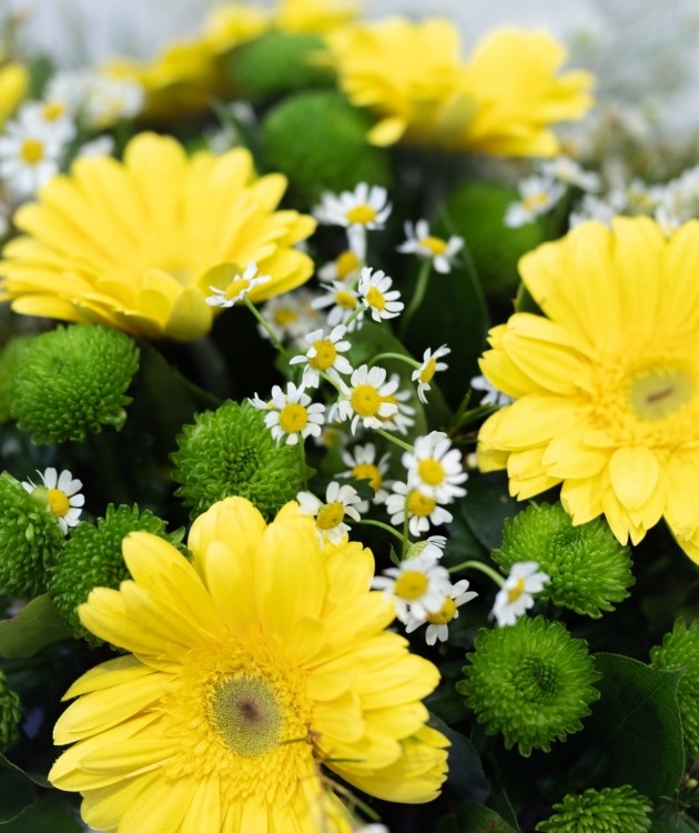 Fleurs à Lisbonne - Bouquet of Yellow Gerberas (7)