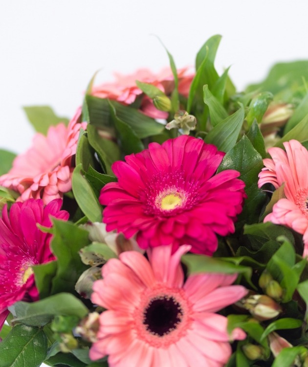 Fleurs à Lisbonne - Ramo de Gerberas Rosas (5)