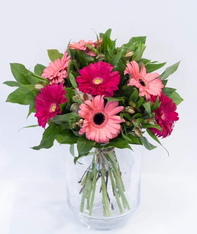 Fleurs à Lisbonne - Ramo de Gerberas Rosas (2)