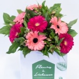Ramo de Gerberas Rosas (3)