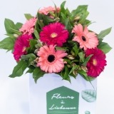 Bouquet of Pink Gerberas (3)