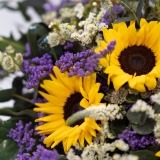 Bouquet of Wild Sunflowers (5)
