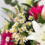 Bouquet of Gerberas and Lilies (5)