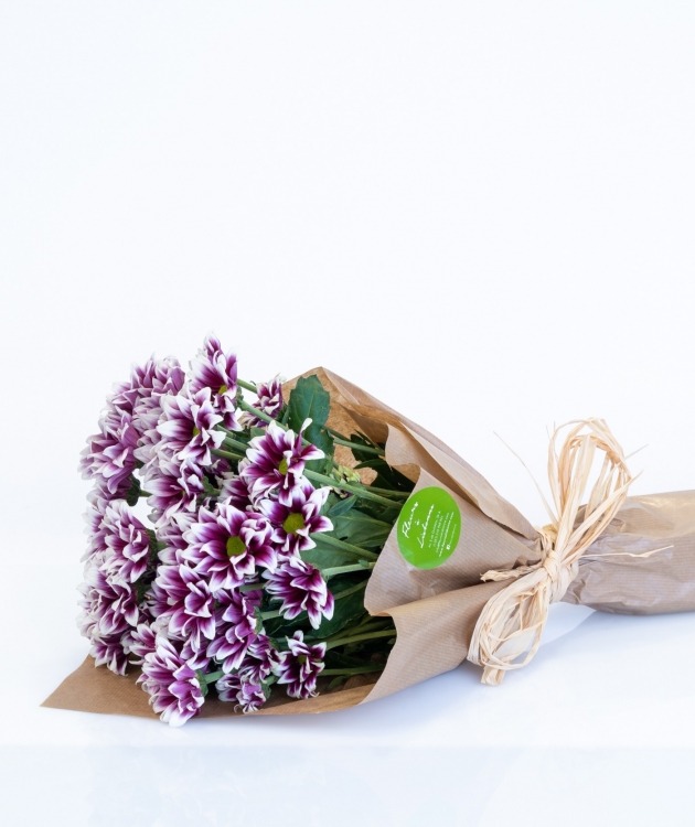 Fleurs à Lisbonne - Set mit rosa Gänseblümchen (1)