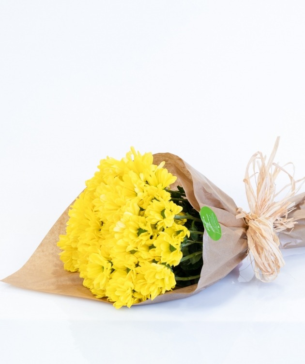 Fleurs à Lisbonne - Set of Yellow Daisies (1)