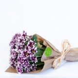 Set mit rosa Gänseblümchen (1)
