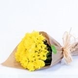 Set of Yellow Daisies (1)