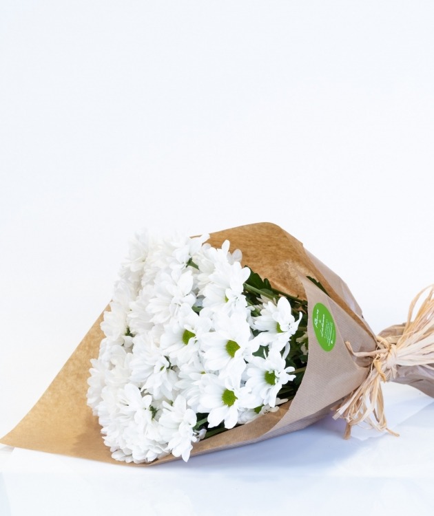 Fleurs à Lisbonne - Set of White Daisies (1)