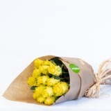 Set of Yellow Roses (1)