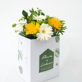 Bouquet of Yellow and White Gerberas (1)