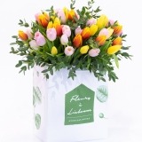 Bouquet of Multicoloured Tulips (1)