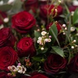Bouquet of Premium Roses (3)
