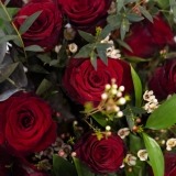 Bouquet of Premium Roses (2)