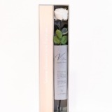 Preserved White Rose (1)