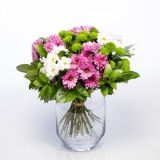 Bouquet of White and Pink Daisies (2)