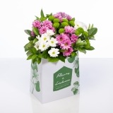 Bouquet of White and Pink Daisies (1)