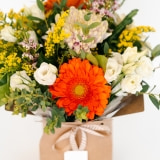 Boîte à Fleurs Multicolore (2)