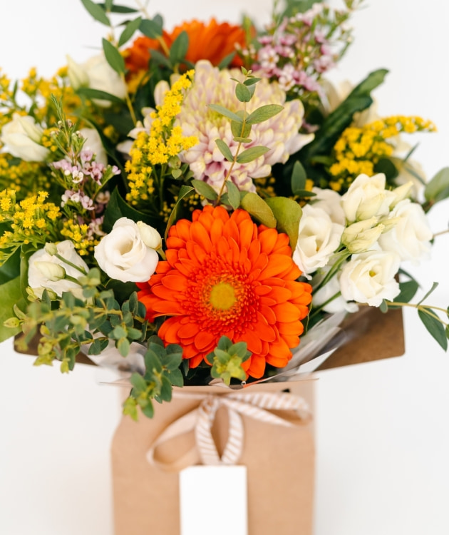 Fleurs à Lisbonne - Boîte à Fleurs Multicolore (2)