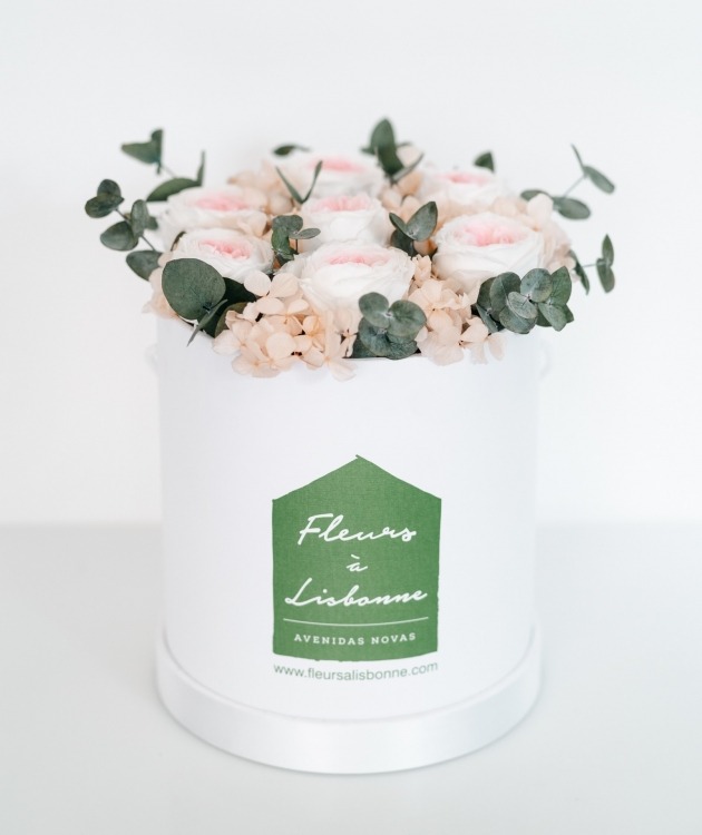 Fleurs à Lisbonne - Caixa de Rosas Preservadas Cor de Rosa (1)