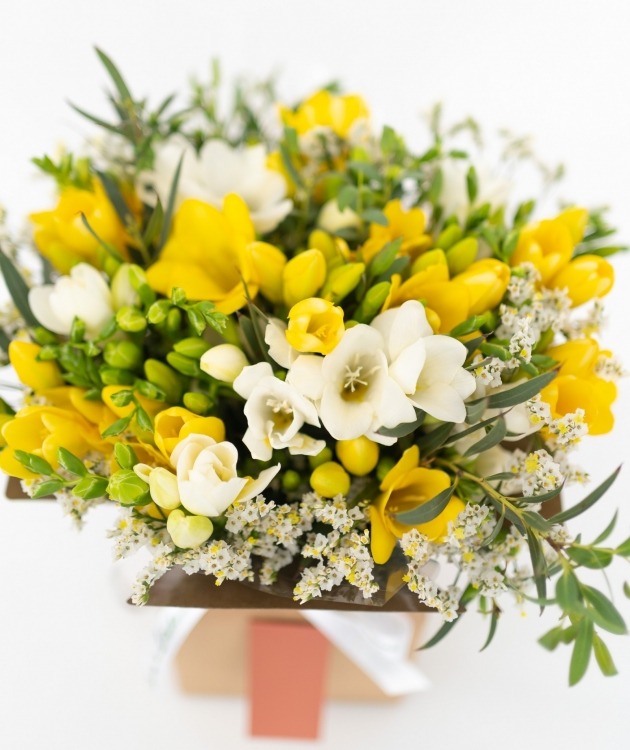 Fleurs à Lisbonne - Schachtel Freesias Mix (2)