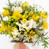 Schachtel Freesias Mix (2)