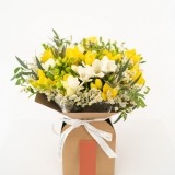 Schachtel Freesias Mix (1)