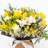 Schachtel Freesias Mix (4)