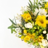 Schachtel Freesias Mix (3)