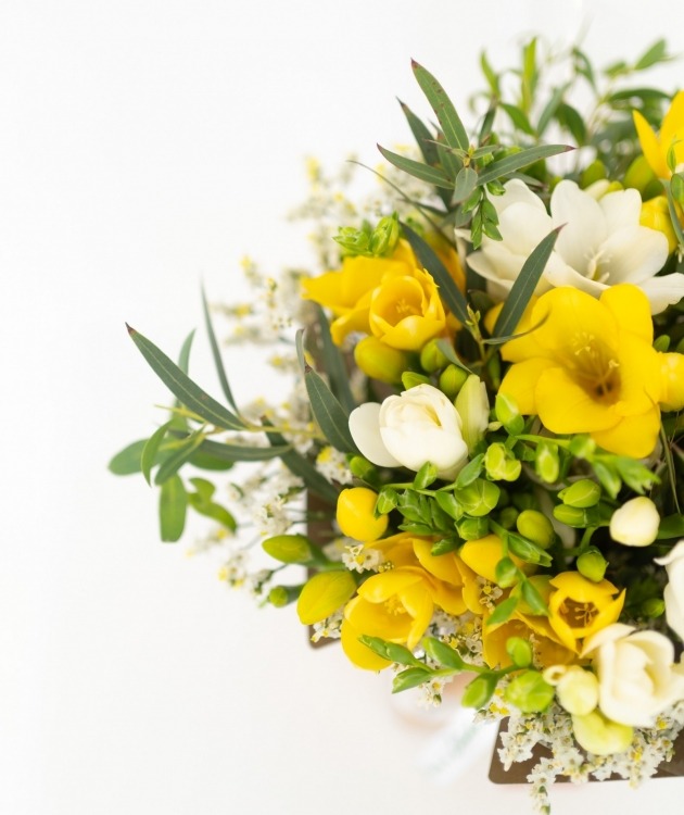 Fleurs à Lisbonne - Schachtel Freesias Mix (3)