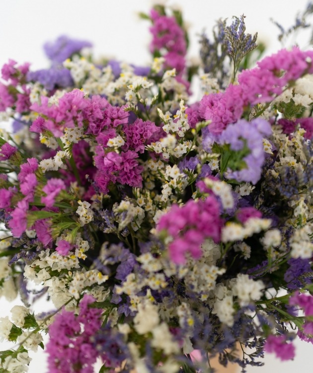Fleurs à Lisbonne - Caixa de Flores Secas Rosa Statice 3